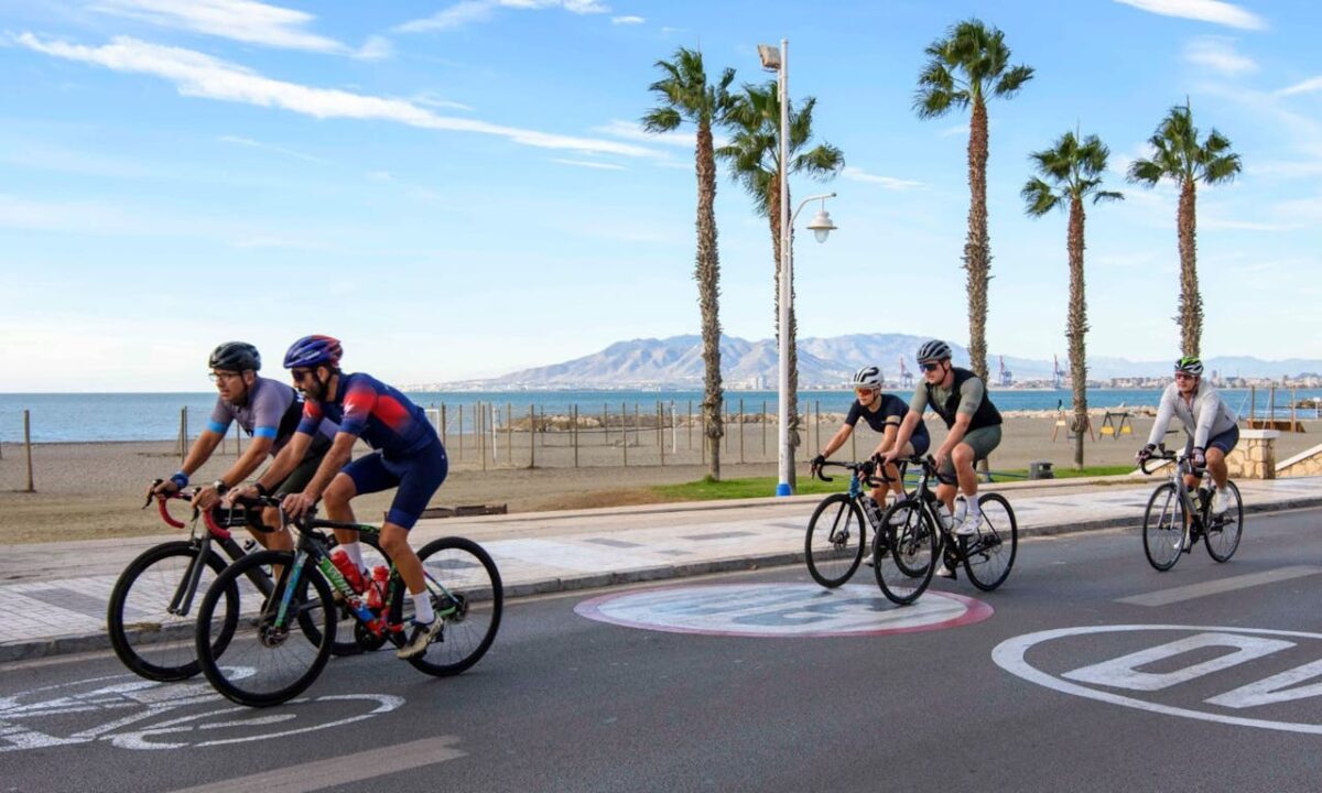 Cyclists enjoy a scenic ride by the sea on a sunny day with palm trees lining the road.